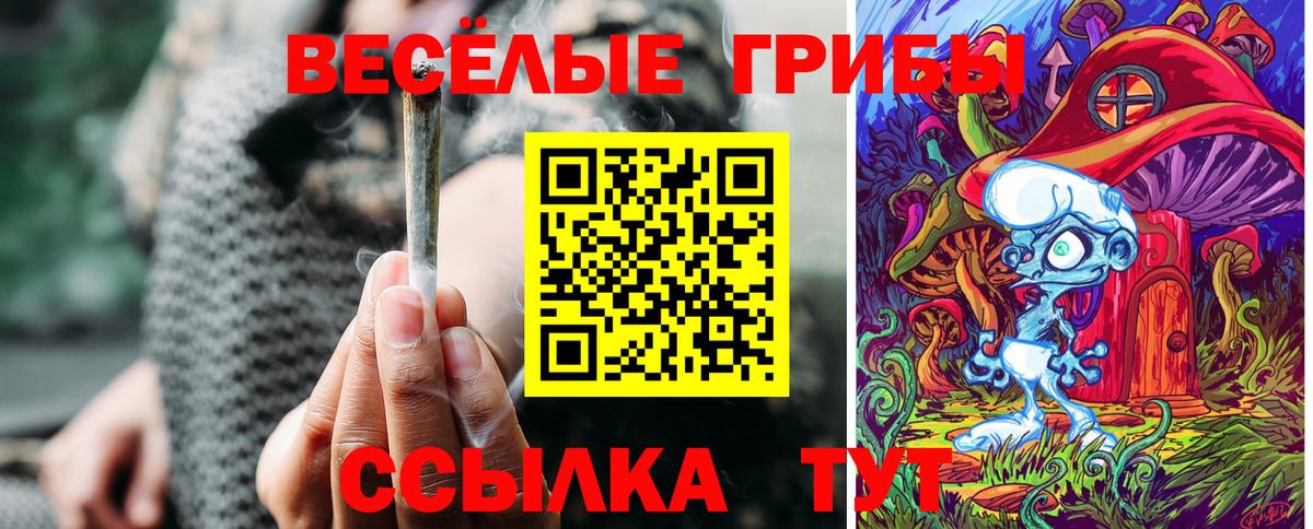 Иркутск  Галлюциногенные грибы MAGIC MUSHROOMS  Вход с VPN 