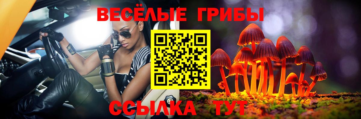 Псилоцибиновые грибы MAGIC MUSHROOMS Иркутск